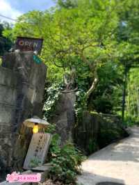 【福岡カフェ】坂を登ると緑に囲まれた小さな癒しカフェがあるよ🌿