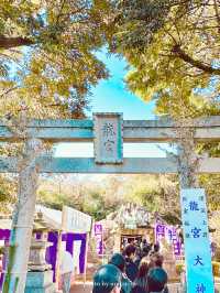 【神奈川/江ノ島】辰年に行きたい江島神社 龍宮