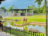 Kemaman Zoo & Recreation Park