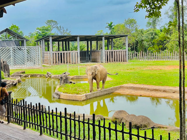 Kemaman Zoo & Recreation Park