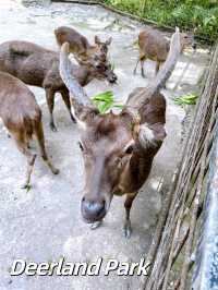 Deerland Park Lanchang Pahang