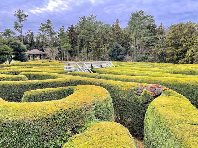 Gimnyeong Maze Park