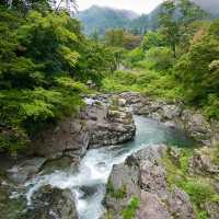 Akamine露營區🏕️探索綠林