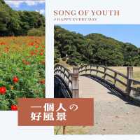 春日游：日式優美庭園✨