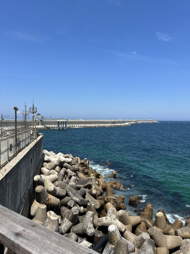 추암 촛대바위, 동해의 숨은 보물 🌊🌿