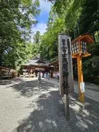 【山梨県】富士山を追いかけて