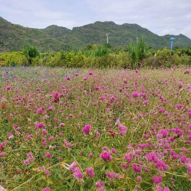 คาเฟ่สไตล์สวนผลไม้ใกล้วัดถ้ำเสื้อ มุมถ่ายรูปเพียบ