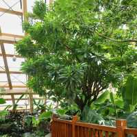 【日本】萬葉植物園：自然美景，充實愉快時光