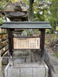 【倉敷】合格祈願だるま