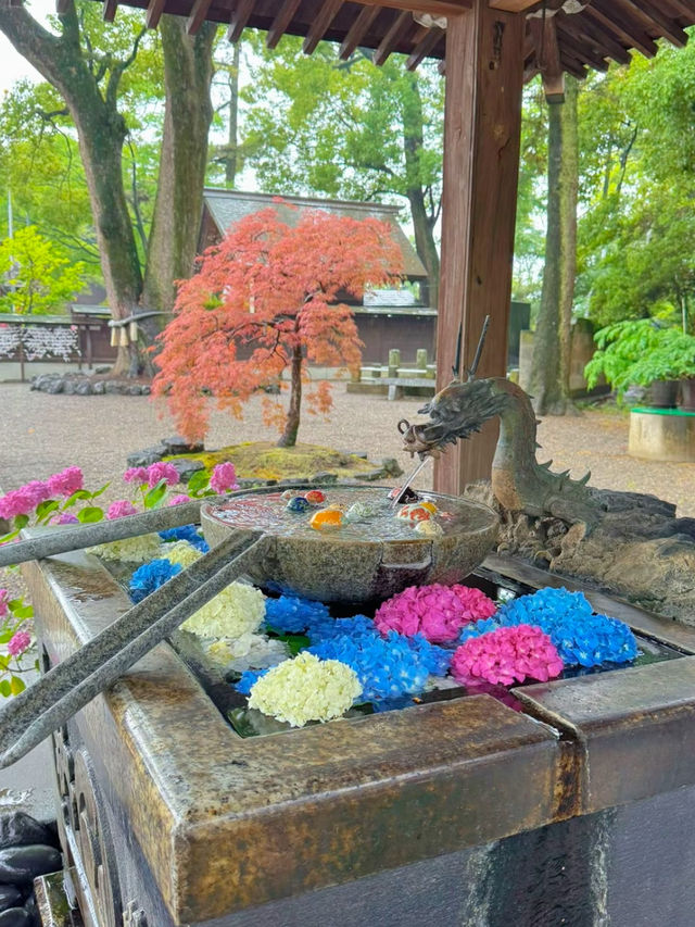【群馬】戌・亥年の方に行ってほしい!!御朱印がかわいい🤍紫陽花見頃なパワスポ✨