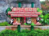 Visit Macau Giant Panda Pavilion 