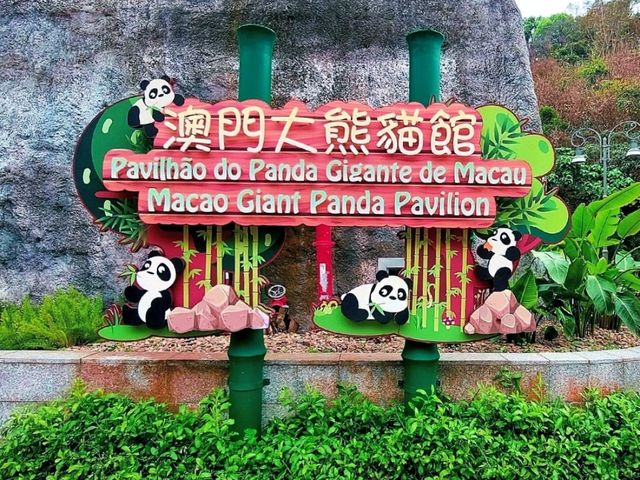 Visit Macau Giant Panda Pavilion 