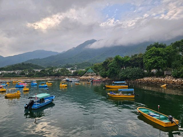 大埔汀角路沿途好風光