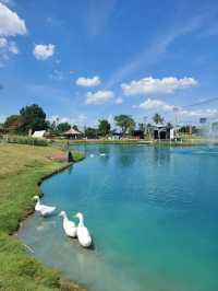 I LOVE FARM คาเฟ่บรรยากาศดีใกล้ตลาดดอนหวาย 