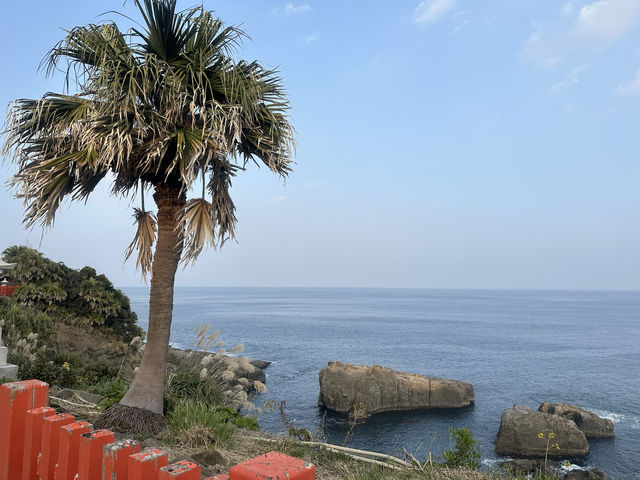 「宮崎鵜戶神宮：懸崖景色、祈福懷孕，自駕40公里45分鐘抵達」