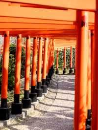 【青森にもあった！】千本鳥居絶景スポット⛩️⛩️高山稲荷神社