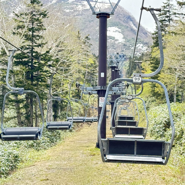 遠離酷暑+老少閑宜的黑岳纜車