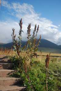 Step into the Heavenly Sky Grassland