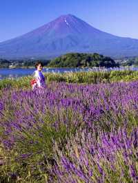 〜山梨県〜これは見た方がいい…衝撃絶景スポット🗻