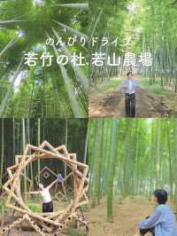 【のんびりドライブ🚗若竹の杜🎋】