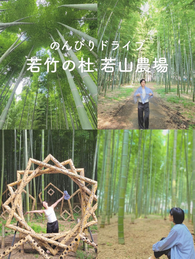 【のんびりドライブ🚗若竹の杜🎋】