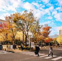 โตเกียวดิสนีย์แลนด์ที่ Chiba (千葉) 