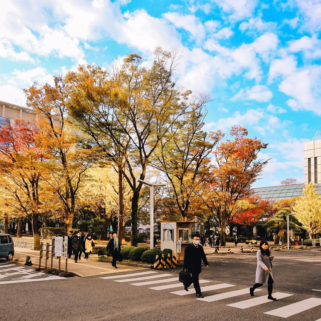 โตเกียวดิสนีย์แลนด์ที่ Chiba (千葉) 
