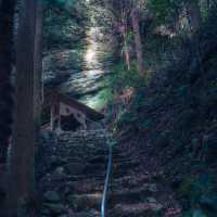 神秘的な滝壺と鳥居（岩門の滝・岐阜県関市）