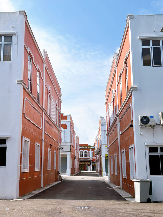 Nanyang Street Mount Austin Mural Arts 