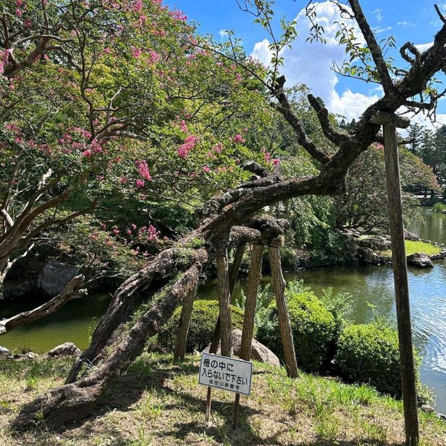  Hidden Beauty of Narita 🌸🏯