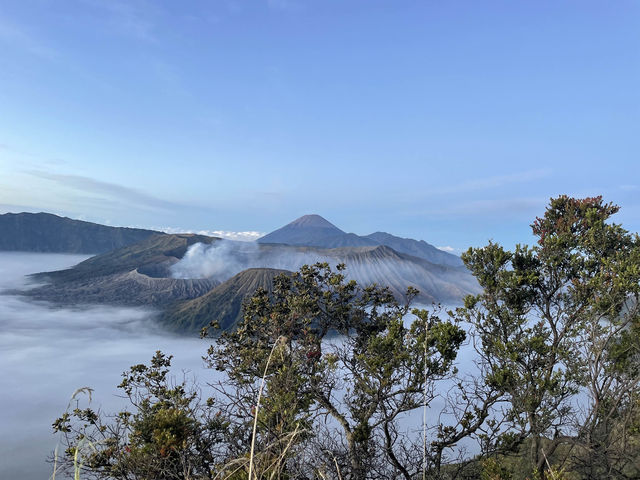 Difficult to Trek but quite worth the experience: Mount Bromo and Ijen Volcano
