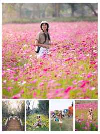 พิกัดน่าเที่ยวตัวเมืองเชียงราย