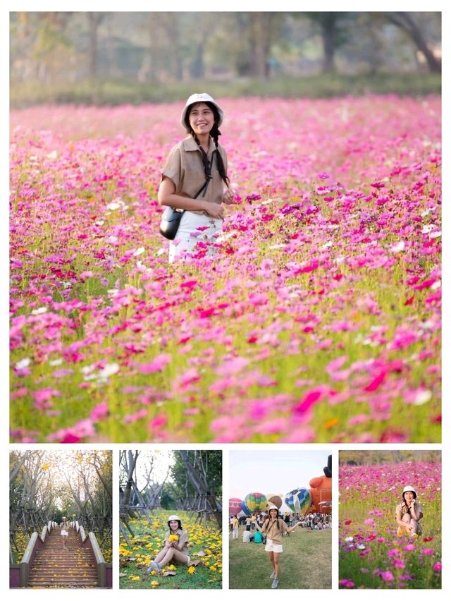 พิกัดน่าเที่ยวตัวเมืองเชียงราย