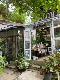 บ้านข้างวัด | เชียงใหม่ 🏡🎨🌿🥤