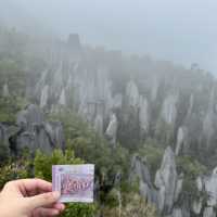 Into the Heart of Borneo: Conquering the RM100 Challenge