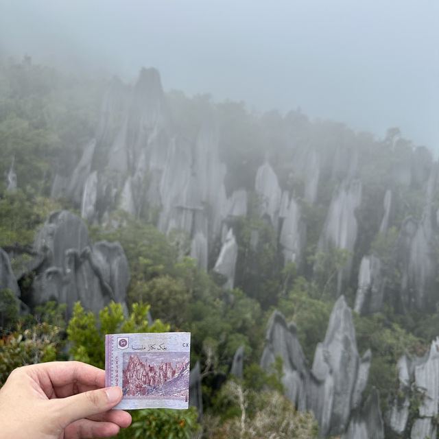 Into the Heart of Borneo: Conquering the RM100 Challenge