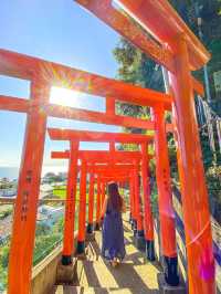 【愛知県 南知多】秘密にしておきたい❣️海の見える🏖絶景神社⛩
