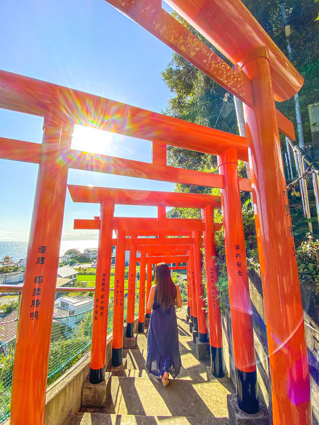【愛知県 南知多】秘密にしておきたい❣️海の見える🏖絶景神社⛩