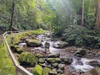 Mahua Waterfall