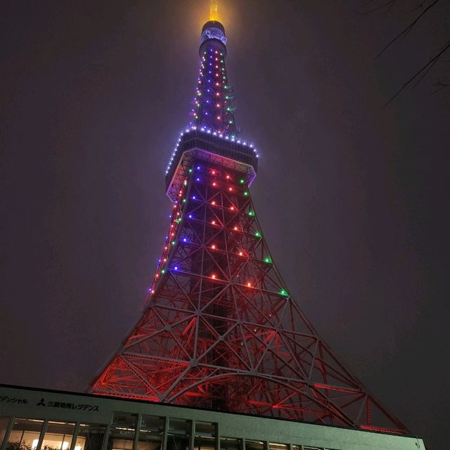 인천에서 2시간 30분! 겨울에 더 화려한 일본의 수도 도쿄🇯🇵
