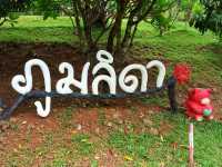 ภูมลิดา สวนผึ้ง จ.ราชบุรี