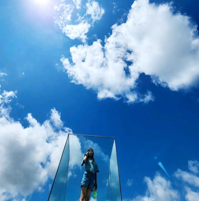 🌞애기봉 평화생태공원🌞