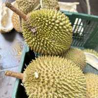 檳城之行:一段充滿人情味之旅行