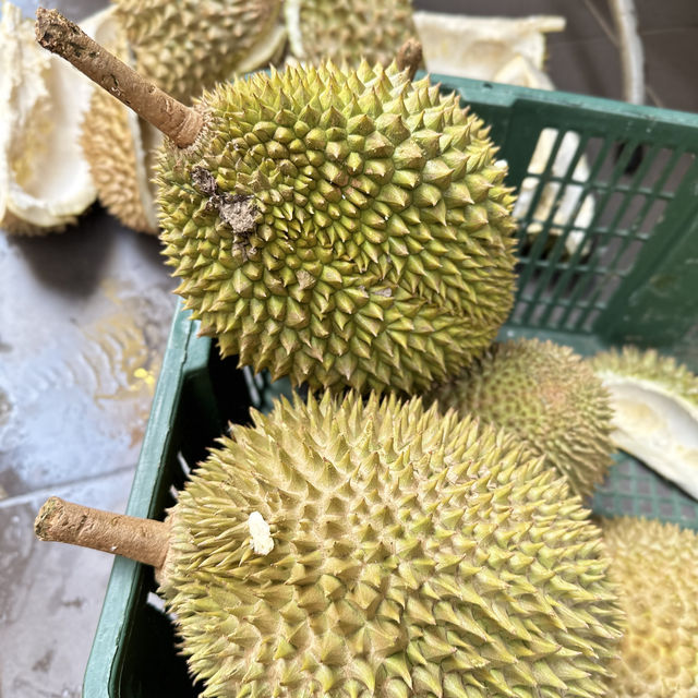 檳城之行:一段充滿人情味之旅行 檳城之行:一段充滿人情味之旅行