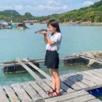 พักผ่อนกับธรรมชาติที่เกาะยาวน้อย