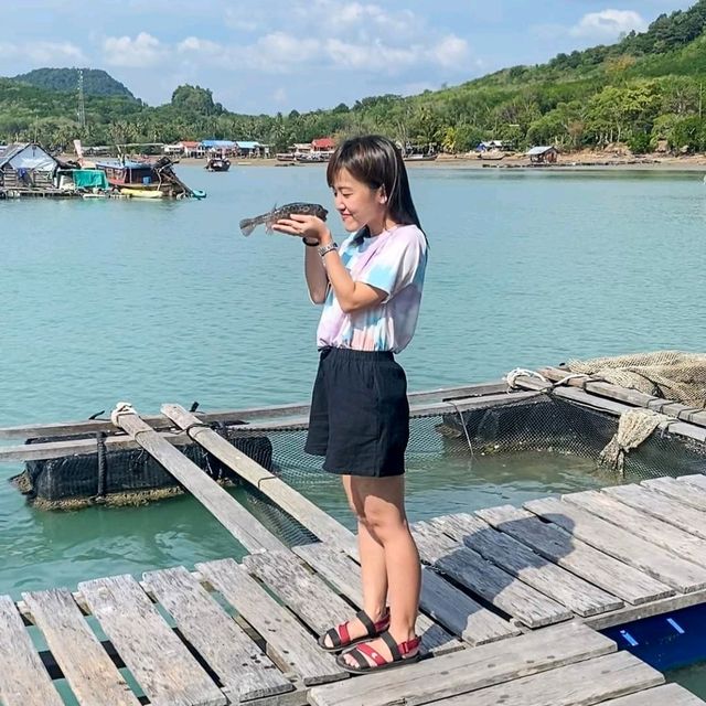 พักผ่อนกับธรรมชาติที่เกาะยาวน้อย