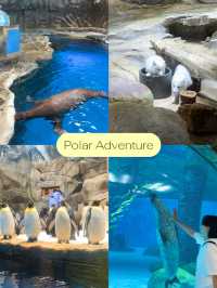 10 ไฮไลท์ในสวนสนุกระดับโลก Ocean Park HongKong 🎠