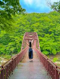 등산 후 계곡물놀이 할 수 있는 덕유산⛰