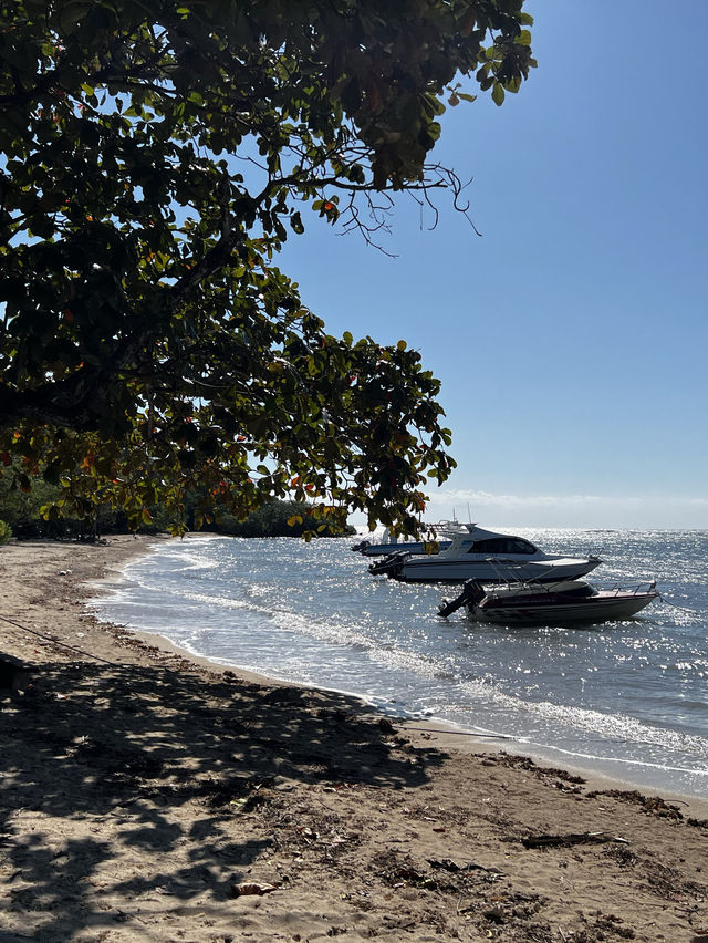 Get in touch with nature at Baluran National Park