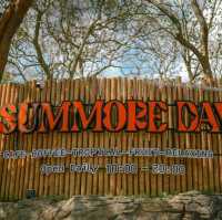 ร้าน Summore Day 